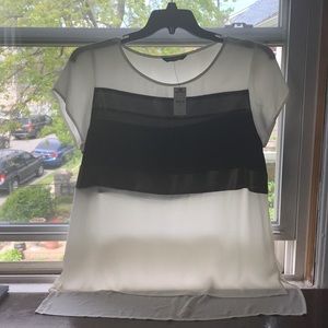 Large Express Shear Blouse